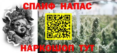 дурь Дубна